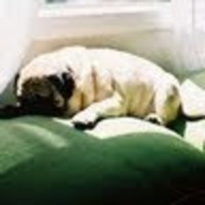 Meet your Posher, Kymberly